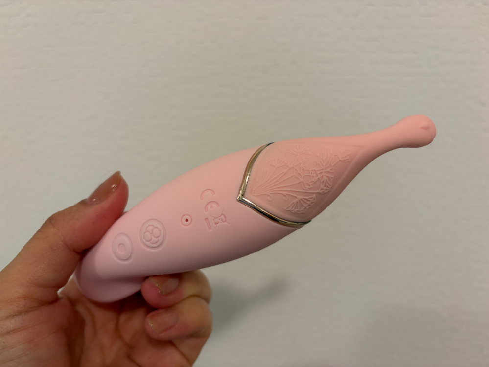 ToyCod 波見鳥（はみどり）がおすすめの人とおすすめできない人